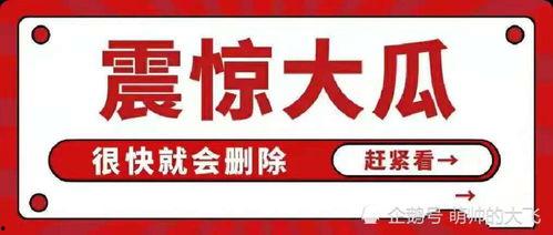 娱乐八卦吃瓜网站下载安装,最新八卦事件大盘点